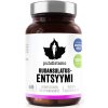 Puhdistamo Digestive Enzymes (Trávicí enzymy) 60 kapslí Puhdistamo Digestive Enzymes (Trávicí enzymy) 60 kapslí