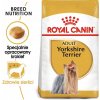Royal Canin Yorkshire Terrier Adult 3 kg Royal Canin Yorkshire Terrier Adult 3 kg