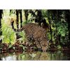 Clementoni Puzzle 2000 Leopard Clementoni Puzzle 2000 Leopard