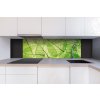 DIMEX | Dibond doska za kuchynskú linku | DBW-18060-048 Žilky listov | 180 x 60 cm + Dibond obkladová doska Dimex do kuchyne Žilky listov v rozmere 180 x 60 cm + lepidlo zadarmo DIMEX | Dibond doska za kuchynskú linku | DBW-18060-048 Žilky listov | 180 x 60 cm + Dibond obkladová doska Dimex do kuchyne Žilky listov v rozmere 180 x 60 cm + lepidlo zadarmo