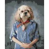 Maľovanie podľa čísel - Pes v šatoch, 40 x 50 cm, bez rámu a napnutého plátna 8596530066644 Maľovanie podľa čísel - Pes v šatoch, 40 x 50 cm, bez rámu a napnutého plátna 8596530066644