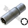 TRIUMF Hlavica 1/4 TRIUMF Hlavica 1/4