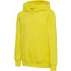 Hummel HML Go 2.0 Hoodie Kids 224834-5269