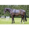 Training aid cob/full Training aid cob/full