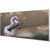 Obraz na akrylátovom skle Unicorn top 100x50 cm Obraz na akrylátovom skle Unicorn top 100x50 cm