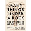 Many Things Under a Rock: The Mysteries of Octopuses - David Scheel Many Things Under a Rock: The Mysteries of Octopuses - David Scheel