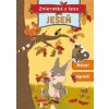 Zvieratká z lesa Jeseň Zvieratká z lesa Jeseň