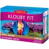 TEREZIA Kĺby Fit 60 kapsúl TEREZIA Kĺby Fit 60 kapsúl