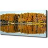 Foto obraz na plátne Les nad jazerom 100x50 cm Foto obraz na plátne Les nad jazerom 100x50 cm