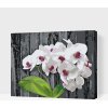 Vymalujsisam.sk Maľovanie podľa čísiel - Biela orchidea Veľkosť: 40x50cm, Rám: Na kartónovej doske Vymalujsisam.sk Maľovanie podľa čísiel - Biela orchidea Veľkosť: 40x50cm, Rám: Na kartónovej doske
