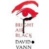 Bright Air Black (David Vann)(Brožovaná) Bright Air Black (David Vann)(Brožovaná)