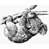 Zuty – Maľovanie Podľa Čísel – Čiernobiela Koala, 40 × 50 cm, Plátno 8596530138884 Zuty – Maľovanie Podľa Čísel – Čiernobiela Koala, 40 × 50 cm, Plátno 8596530138884