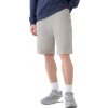 Pánske teplákové kraťasy 4F-SHORTS CAS-WSS25TSHOM527-26S-WARM LIGHT GREY Šedá XL 2025 Pánske teplákové kraťasy 4F-SHORTS CAS-WSS25TSHOM527-26S-WARM LIGHT GREY Šedá XL 2025