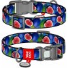 WAUDOG Obojok pre psa Nylon M 28-40/2 cm FIGA WAUDOG Obojok pre psa Nylon M 28-40/2 cm FIGA
