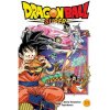 Viz Media Dragon Ball Super 11 Viz Media Dragon Ball Super 11