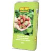 FloraSelf pre jahody40 l FloraSelf pre jahody40 l