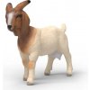 Schleich 14929 Burská koza Schleich 14929 Burská koza