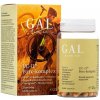 GAL UC-II Chrupavkový-komplex 60 kapsúl 25 g GAL UC-II Chrupavkový-komplex 60 kapsúl 25 g