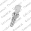 Spínač cúvacích svetiel CALORSTAT by Vernet RS5561 Spínač cúvacích svetiel CALORSTAT by Vernet RS5561