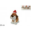 MAKRO - Pes vianočný MAKRO - Pes vianočný