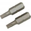 Standardní bit LUX-TOOLS 2 kusy TX20 Standardní bit LUX-TOOLS 2 kusy TX20