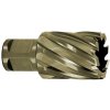 Karnasch 201260u030 | Jadrový vrták 30 mm, GOLD-DRILL LINE 30 upnutie WELDON 19 Karnasch 201260u030 | Jadrový vrták 30 mm, GOLD-DRILL LINE 30 upnutie WELDON 19