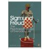 Psychopathology of Everyday Life (Sigmund Freud)(Brožovaná) Psychopathology of Everyday Life (Sigmund Freud)(Brožovaná)