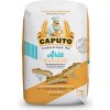 Caputo talianska múka Aria