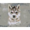 ZUTY Maľovanie podľa čísel HUSKY NA SIVOM POZADÍ Rámovanie bez rámu a bez vypnutia plátna Rozmer 80 x 100 cm