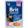 Brit Premium Cat D Fillets Gravy Salmon Sterilised 85g Brit Premium Cat D Fillets Gravy Salmon Sterilised 85g