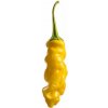 Peter Pepper Yellow (semená) chilli Peter Pepper Yellow (semená) chilli