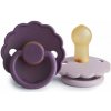 Frigg Dvojbalenie cumlíkov frigg daisy violet dream/ soft lilac, 0-6m, kaučuk Frigg Dvojbalenie cumlíkov frigg daisy violet dream/ soft lilac, 0-6m, kaučuk