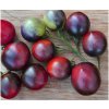 Bio paradajka Indigo Blue Berries - Solanum lycopersicum - predaj bio semien - 7 ks Bio paradajka Indigo Blue Berries - Solanum lycopersicum - predaj bio semien - 7 ks