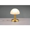 TRIO 599100108 FYNN II dotyková stolná lampička 1xE14 mosadz/biela ON/OFF TRIO 599100108 FYNN II dotyková stolná lampička 1xE14 mosadz/biela ON/OFF