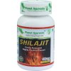 Shilajit – ajurvédske kapsuly Shilajit – ajurvédske kapsuly