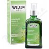 WELEDA Březový olej na celulitidu 100ml WELEDA Březový olej na celulitidu 100ml