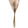 Butlers FLOWER MARKET Lagurus tráva sušená 70 cm Butlers FLOWER MARKET Lagurus tráva sušená 70 cm