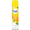Brait osviežovač vzduchu Lemon Fresh 300ml Brait osviežovač vzduchu Lemon Fresh 300ml