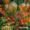 Cavs - Sojourn (Orange Coloured) (LP) Cavs - Sojourn (Orange Coloured) (LP)