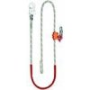 CXS Canis AZ 002 CXS Canis AZ 002