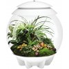 BiOrb Air Terrarium biele 30 l BiOrb Air Terrarium biele 30 l