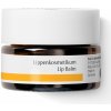 Dr. Hauschka Lip Balm výživný balzam na pery 4,5ml