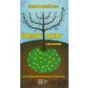 Šabesový poklad a iné poviedky - Jicchok Lejbuš Perec Šabesový poklad a iné poviedky - Jicchok Lejbuš Perec
