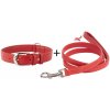 Obojok a vodítko plochý kožený set pre psa červenej farby Obvod krku:: 30-39cm, šírka obojku: 20mm + vodítko priemer 18mm Obojok a vodítko plochý kožený set pre psa červenej farby Obvod krku:: 30-39cm, šírka obojku: 20mm + vodítko priemer 18mm