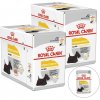 Royal Canin Dermacomfort 24 x 85 g