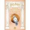 Harry Potter. Magical meditations (Brožovaná) Harry Potter. Magical meditations (Brožovaná)
