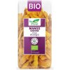 Sušené mango BIO 100 g Bio Planet Sušené mango BIO 100 g Bio Planet