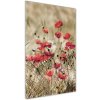 Vertikálny foto obraz sklenený Poľné kvety 50x100 cm Vertikálny foto obraz sklenený Poľné kvety 50x100 cm