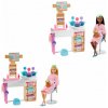 Mattel BRB SALÓN KRÁSY HERNÝ SET S BELOŠKOU Mattel BRB SALÓN KRÁSY HERNÝ SET S BELOŠKOU