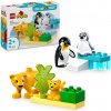LEGO® DUPLO® 10442 Rodinky divokých zvierat: Tučniaky a levy